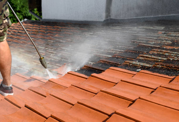 Best House Pressure Washing  in USA